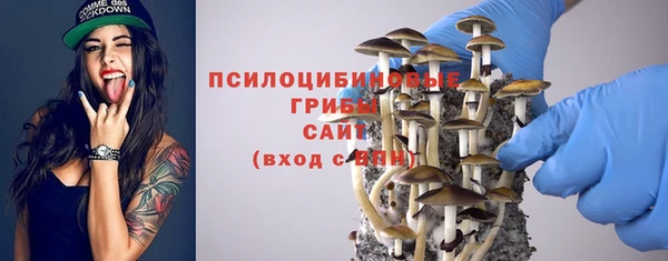 spice Семикаракорск