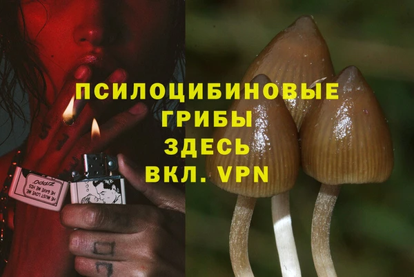 гашик Алзамай